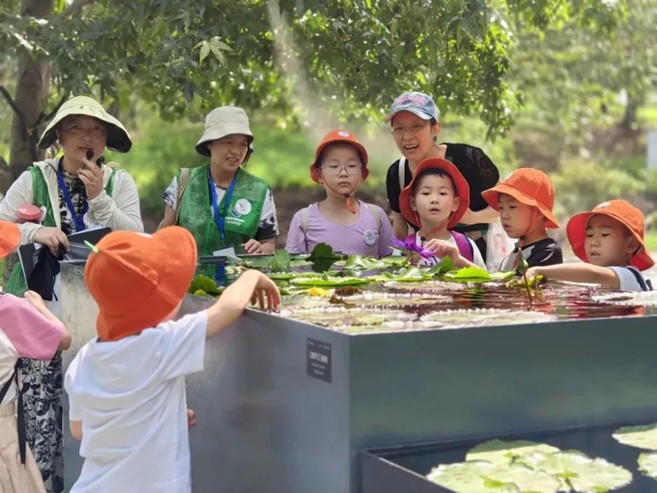 白天赏文物,夜晚追星河!这些活动让亲子时光更有料