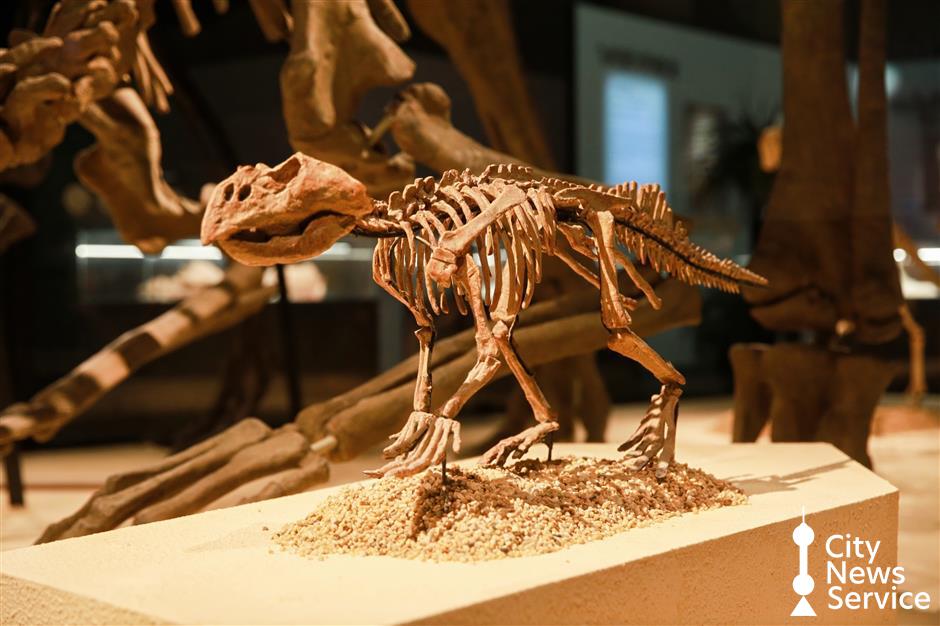 Design your own dinosaur-themed mini program