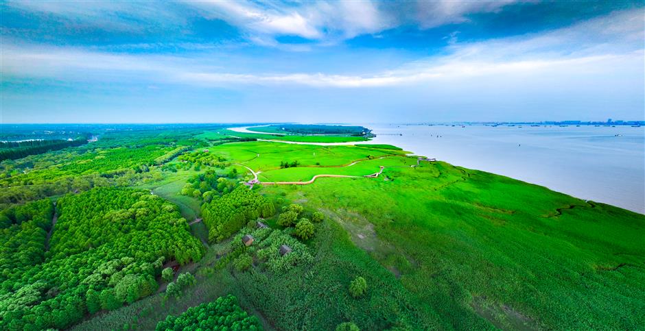 Chongming island earns Wetland City status