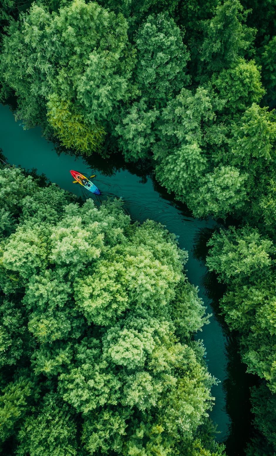 Chongming island earns Wetland City status