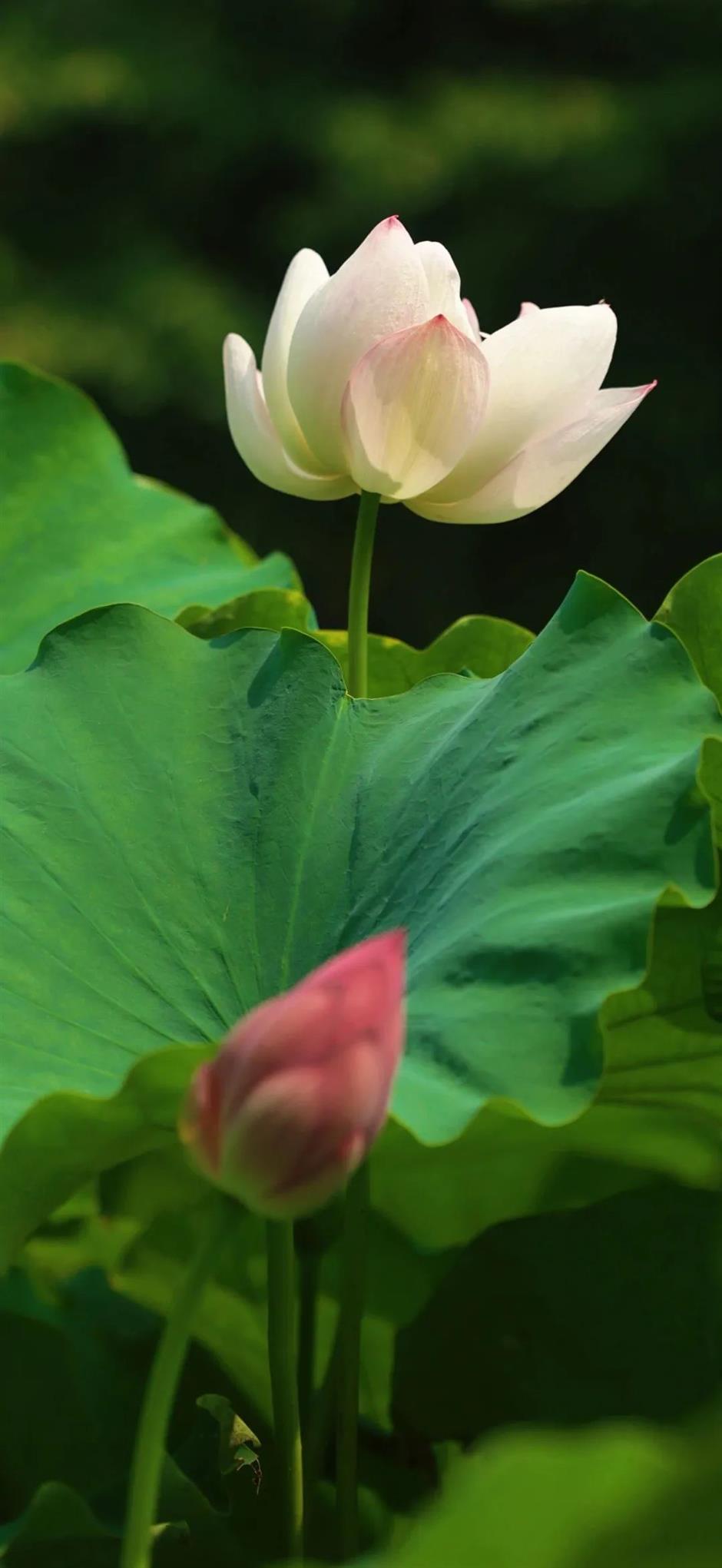 出片率100%!七月顶流又霸屏了