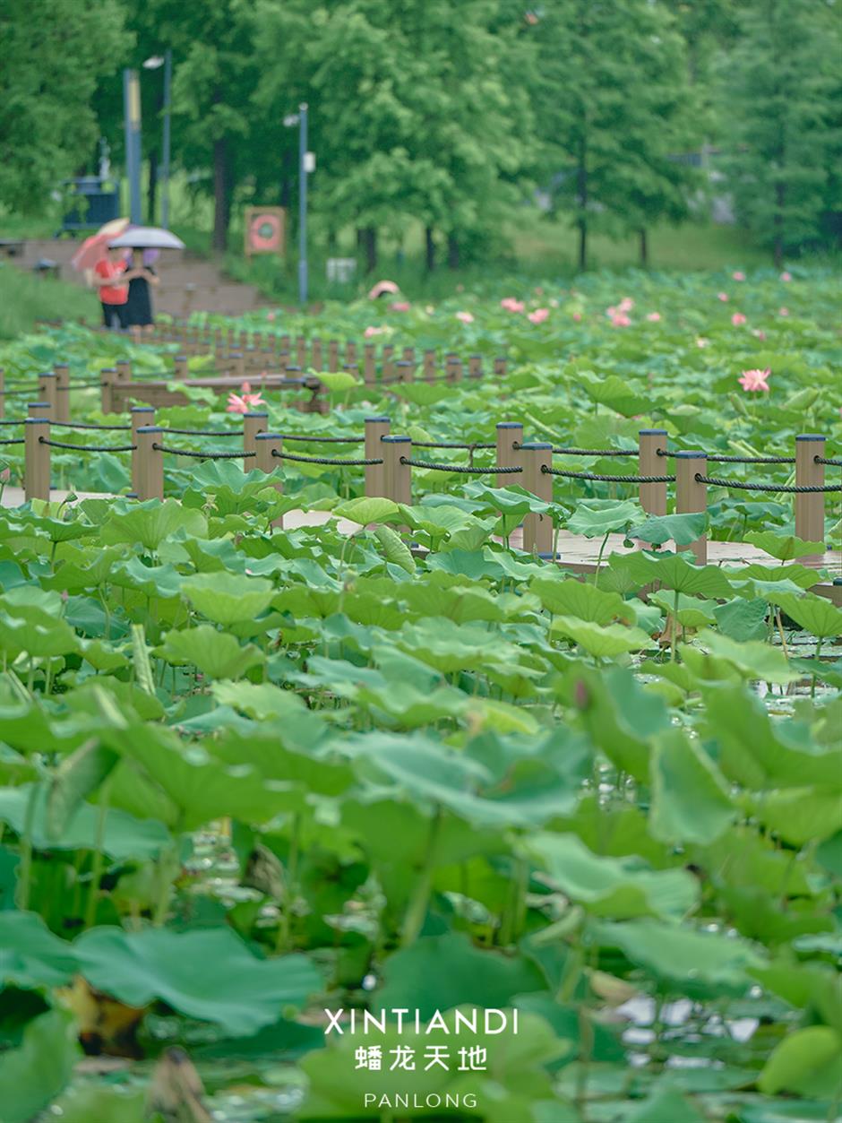 出片率100%!七月顶流又霸屏了