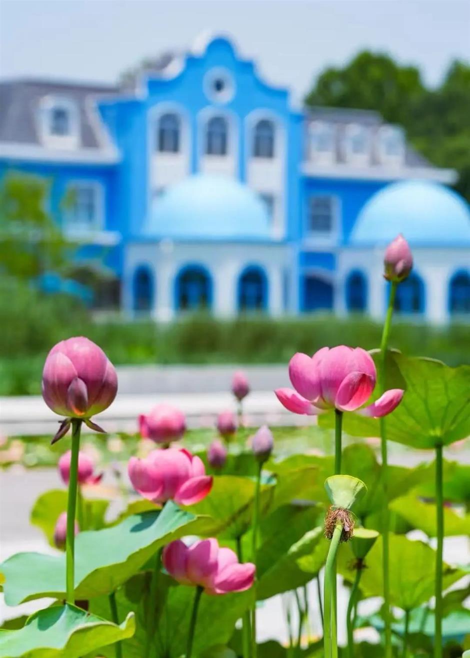 出片率100%!七月顶流又霸屏了