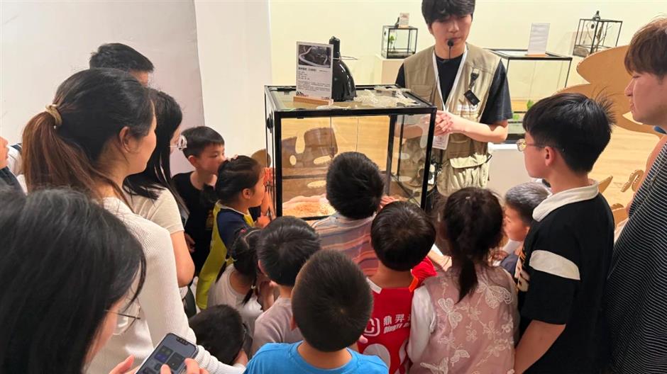 限时开放!美术馆夜游也来了!