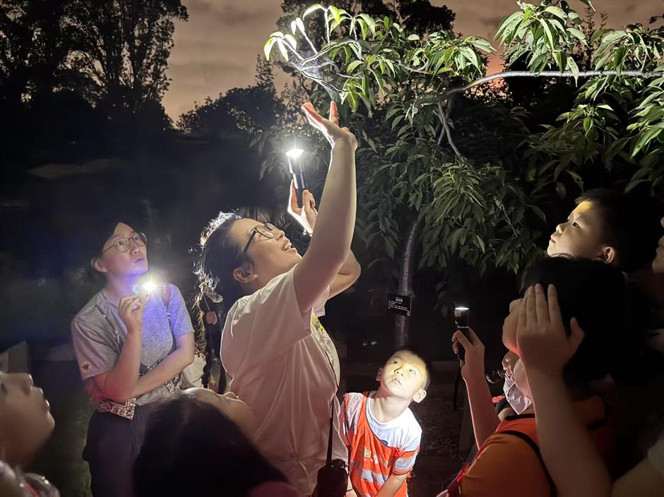 [Hai Lights] Unforgettable summer night tours in Shanghai parks