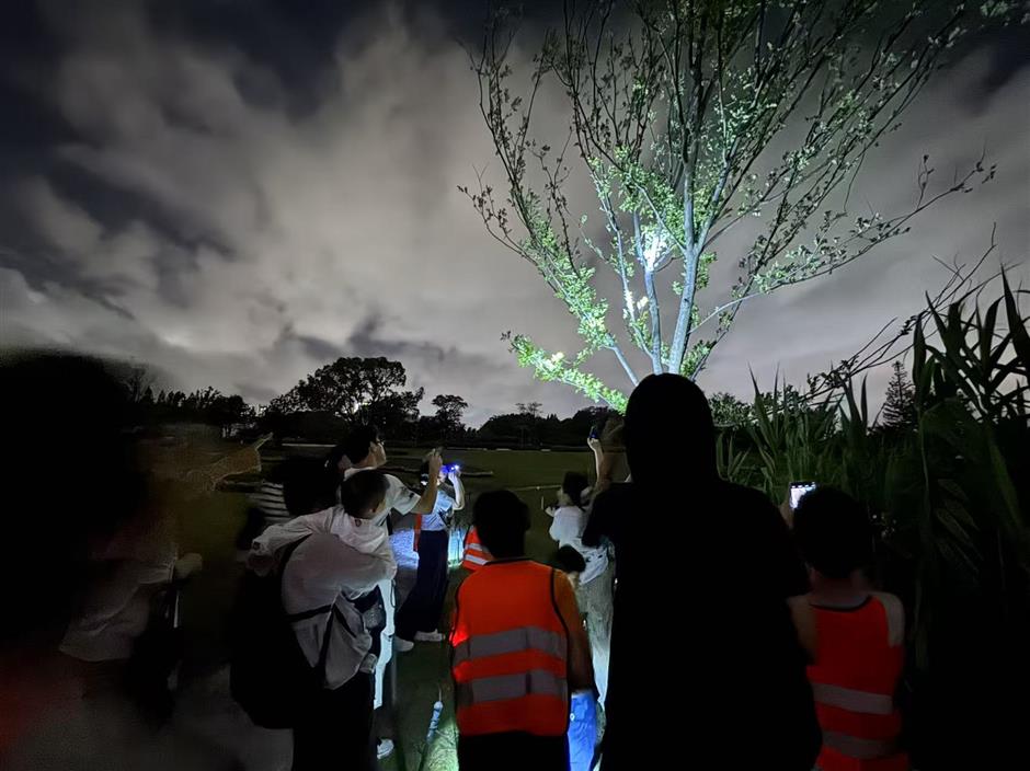 [Hai Lights] Unforgettable summer night tours in Shanghai parks