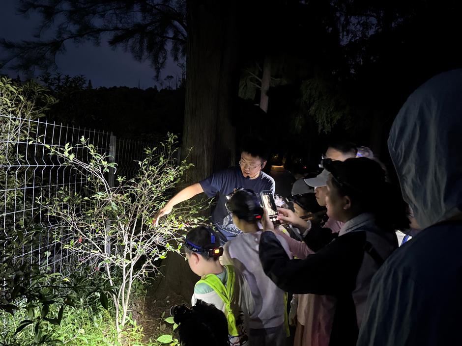 [Hai Lights] Unforgettable summer night tours in Shanghai parks