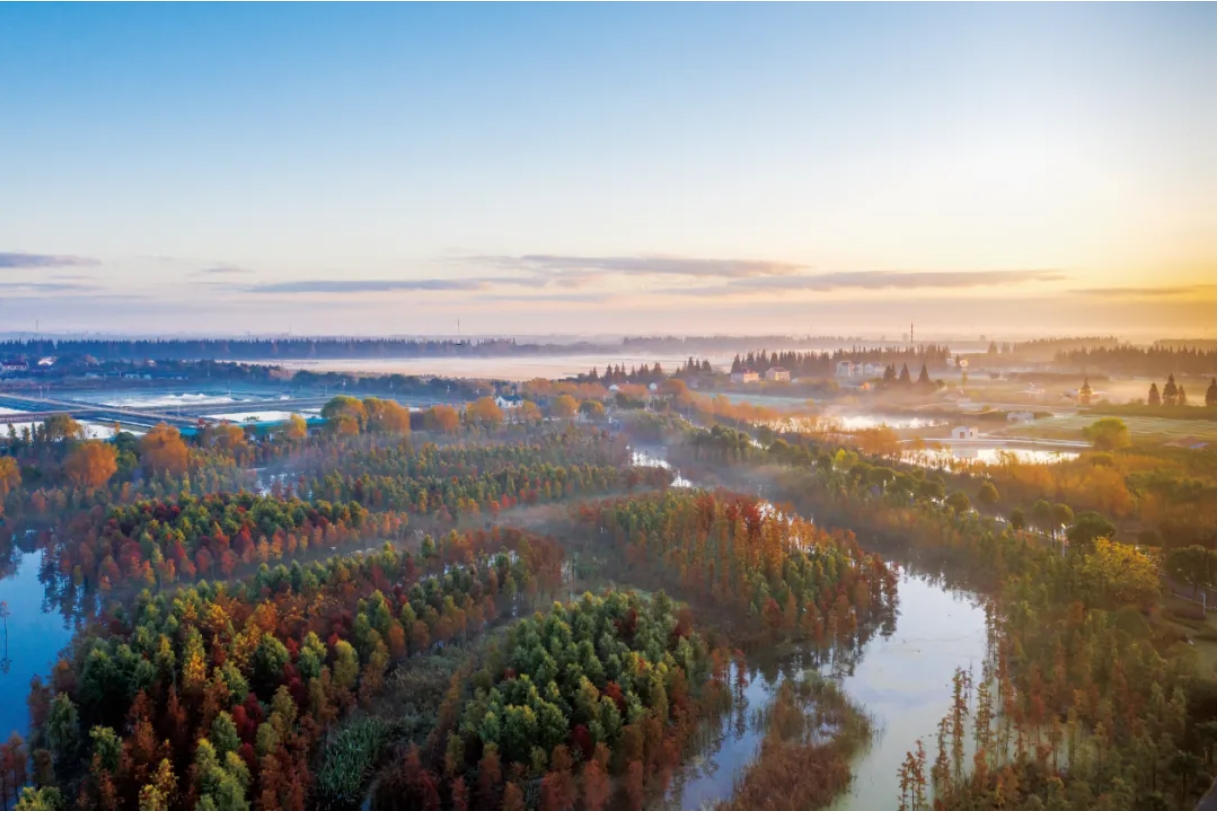 Congming Chongming named International Wetland City, marking first for Shanghai