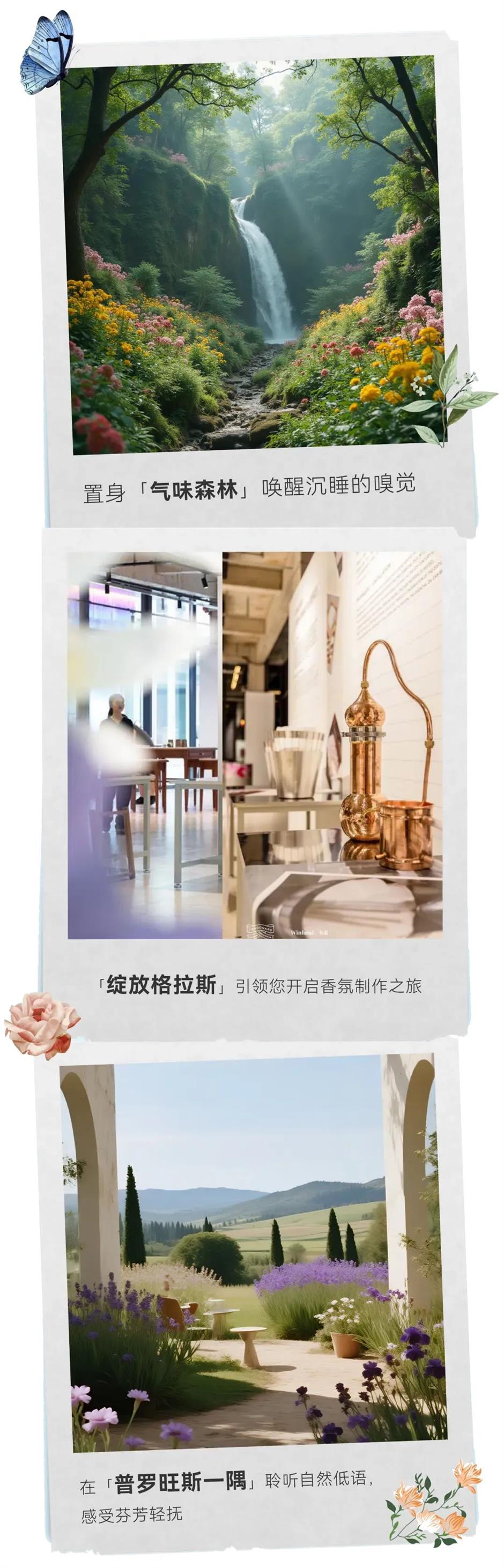 不用飞南法!在上海的秘密花园中邂逅普罗旺斯的香气→