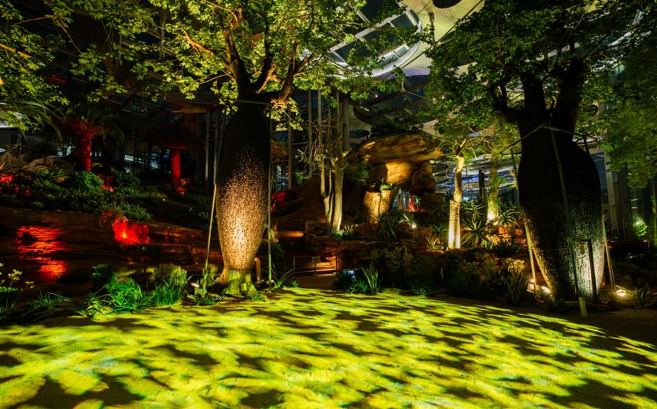 [Hai Lights] Unforgettable summer night tours in Shanghai parks