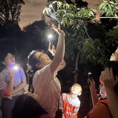 [Hai Lights] Unforgettable summer night tours in Shanghai parks