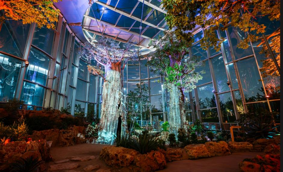 [Hai Lights] Unforgettable summer night tours in Shanghai parks