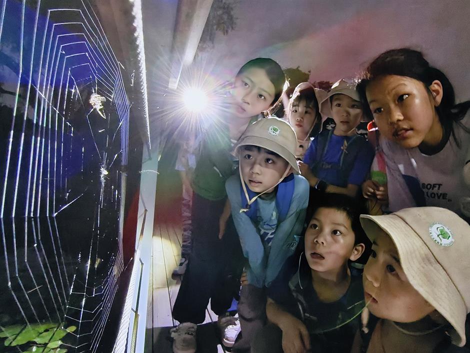 [Hai Lights] Unforgettable summer night tours in Shanghai parks