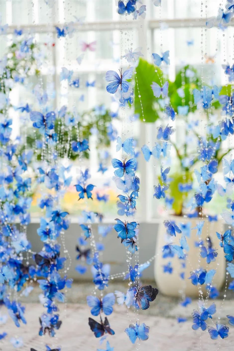 不用飞南法!在上海的秘密花园中邂逅普罗旺斯的香气→