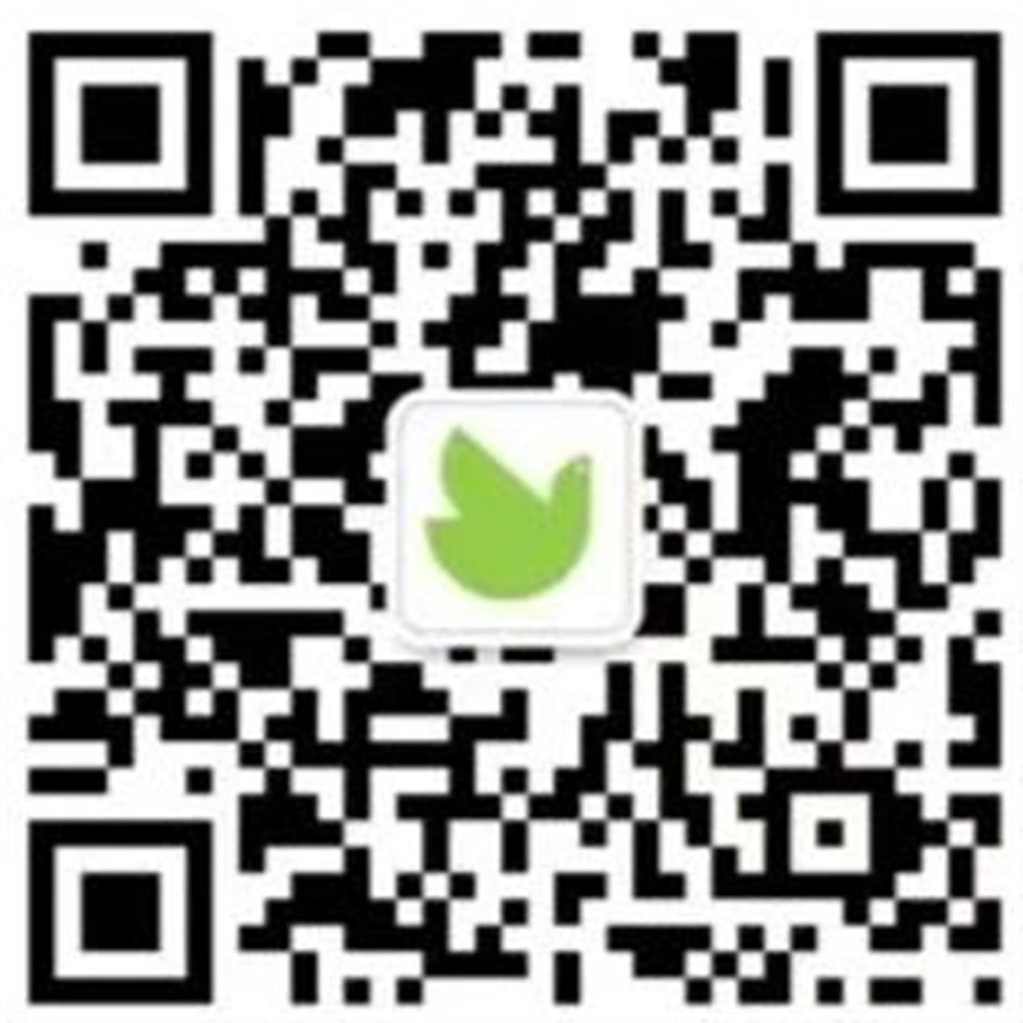 定了!2025上海市民艺术夜校秋季班报名通道即将开启