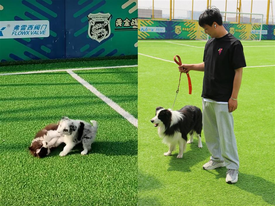 Citizen Day School in Shanghai promotes arts and lifelong learning