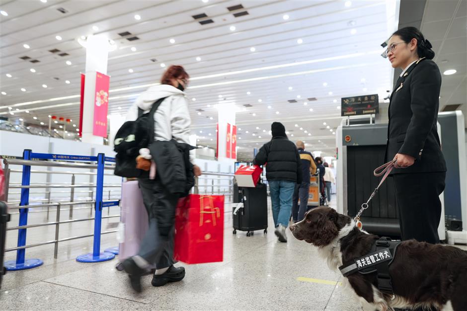 Customs dogs: keeping China's borders safe – one sniff at a time