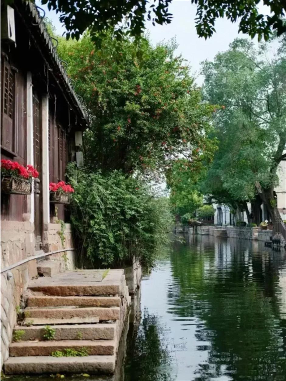 当季限定!上海夏日古镇还能这样玩→