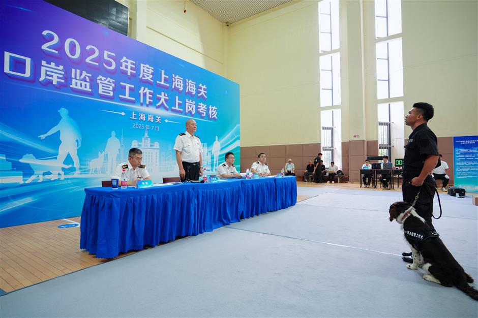 Customs dogs: keeping China's borders safe – one sniff at a time