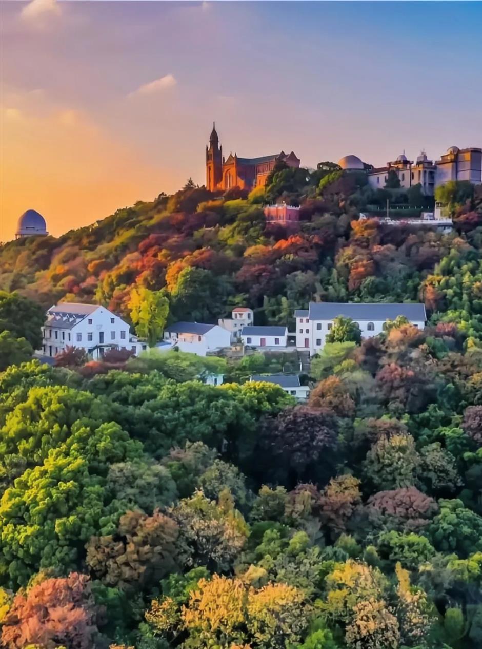 来上海第一件事!手把手教你选酒店→