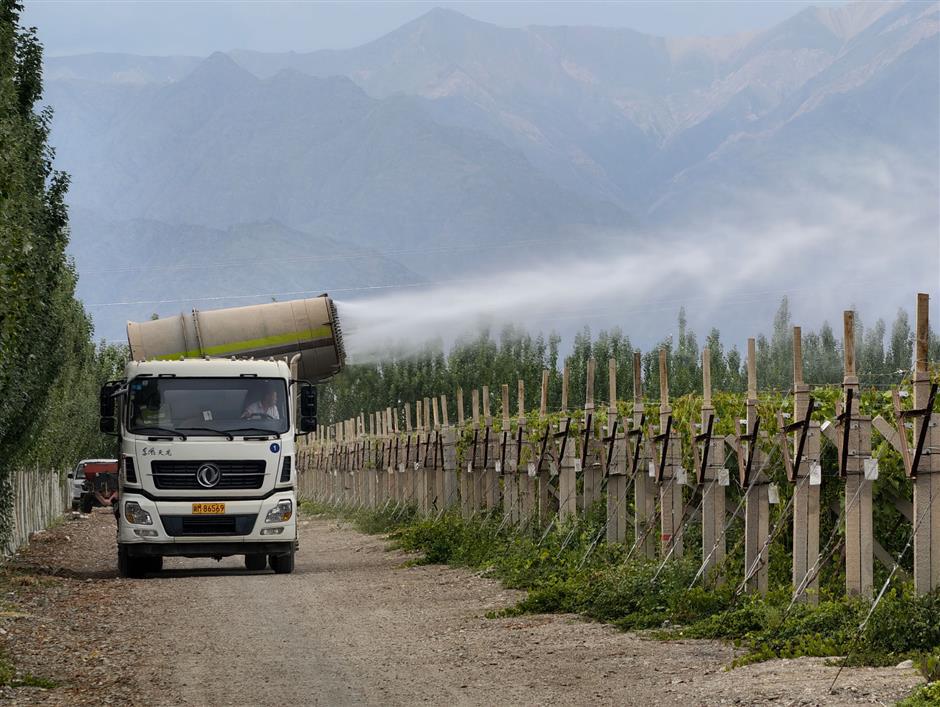 'Great Green Wall' along the Old Silk Road