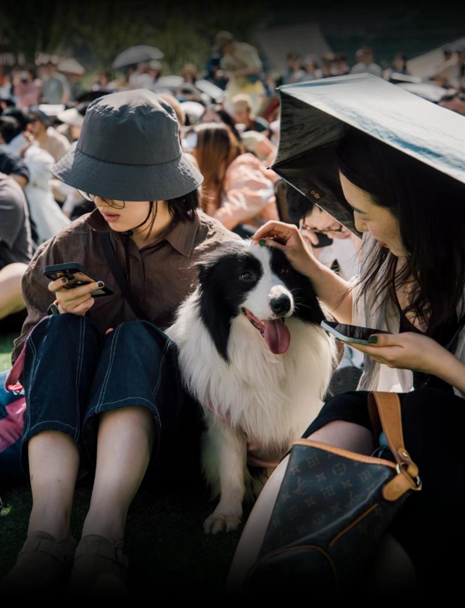 Live your West Bund dream with summer beats and films
