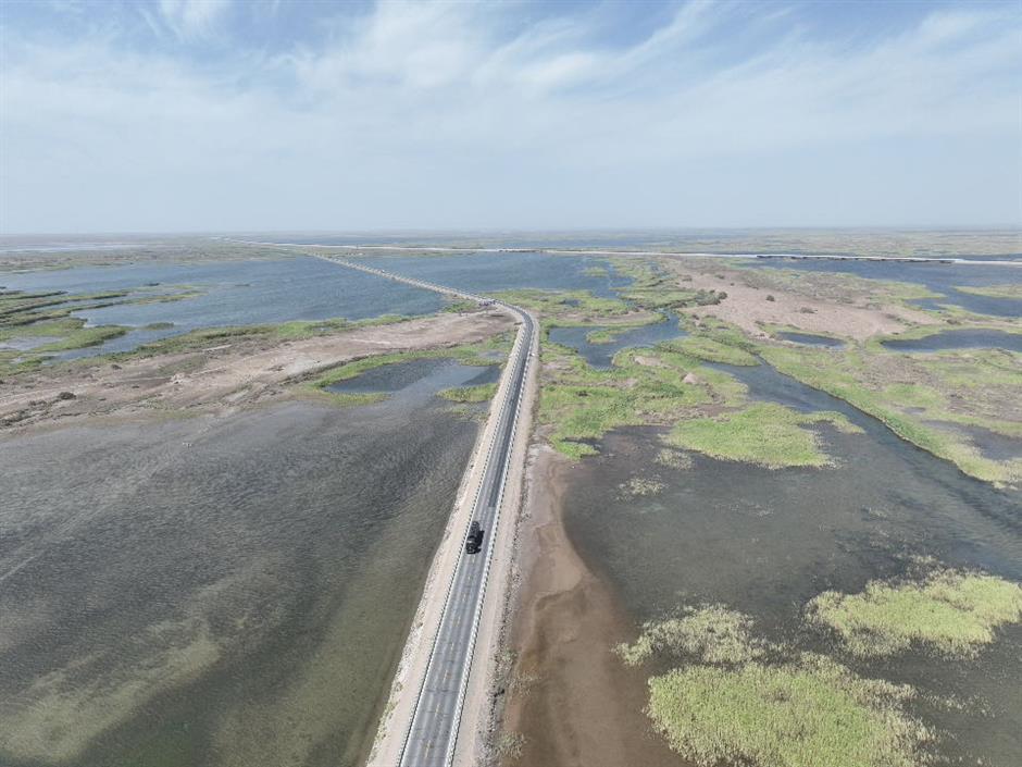 'Great Green Wall' along the Old Silk Road