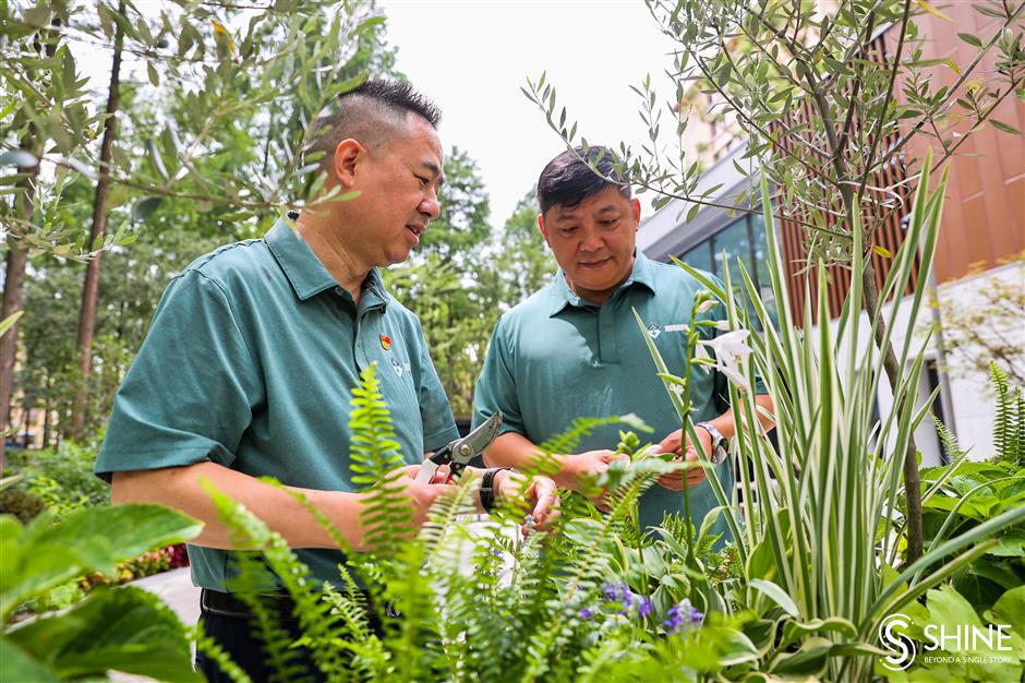 Road gallery! Meet the pioneer of Shanghai's streetside floral art
