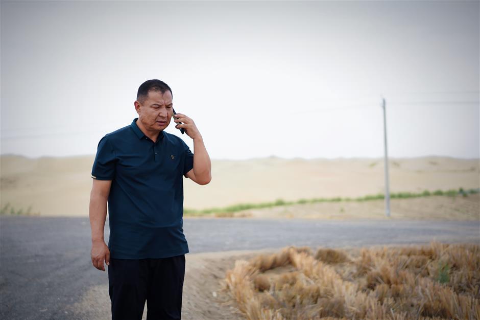 'Great Green Wall' along the Old Silk Road