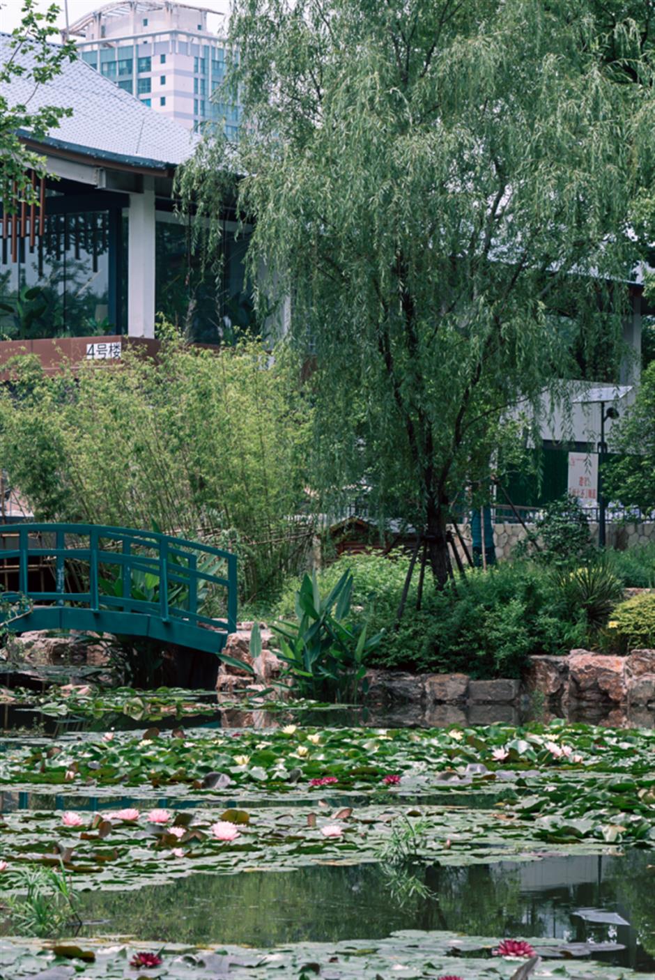 絕美窗景!上海這些公園咖啡館,一眼清涼