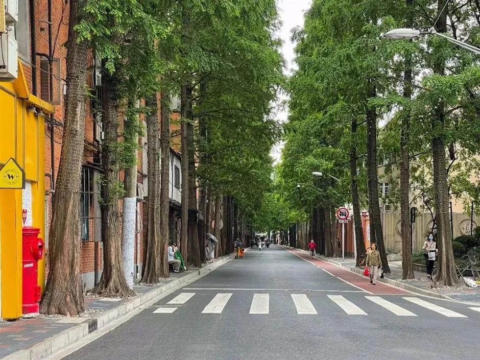 集章打卡+City Walk:北外滩的惊喜