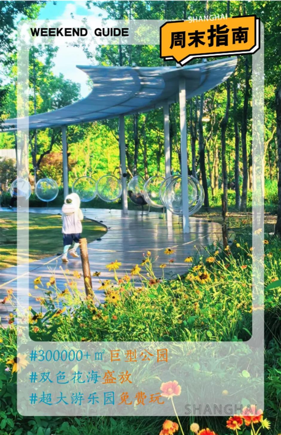 上海有个300000+㎡巨型公园!向日葵、千日红双色花海盛放,还有超大免费游乐园^