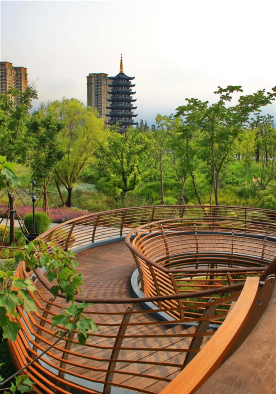 上海有个300000+㎡巨型公园!向日葵、千日红双色花海盛放,还有超大免费游乐园^