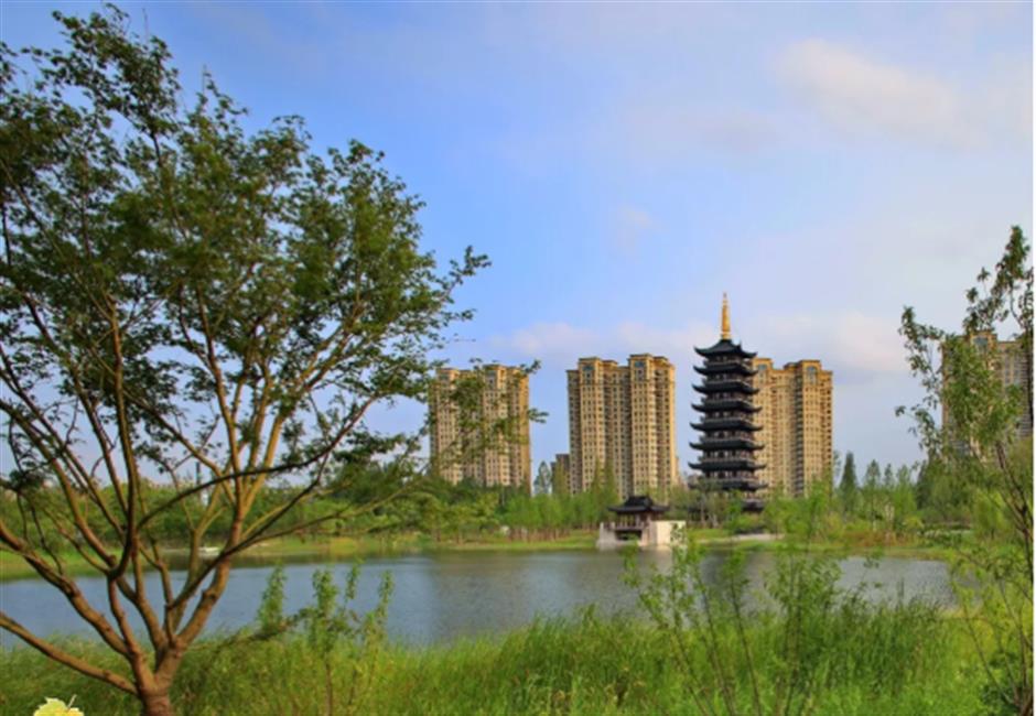 上海有个300000+㎡巨型公园!向日葵、千日红双色花海盛放,还有超大免费游乐园^