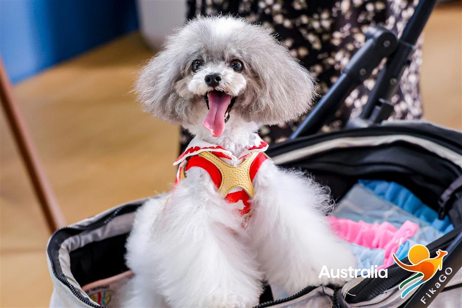 West Bund pop-up brings a taste of Australia to Shanghai