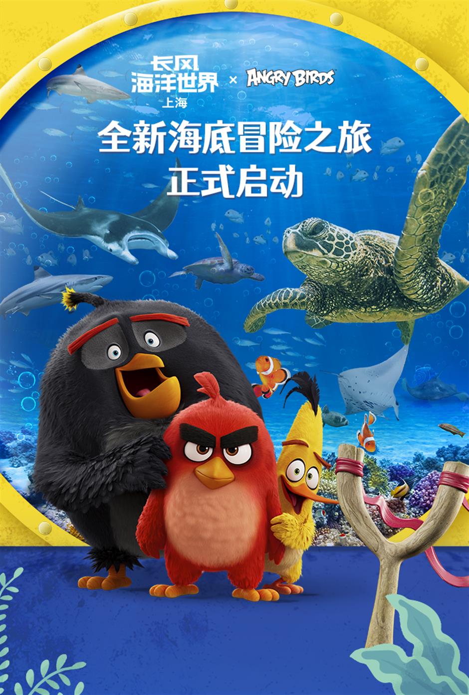 水岸樂遊花式體驗!滬上歡樂已就位