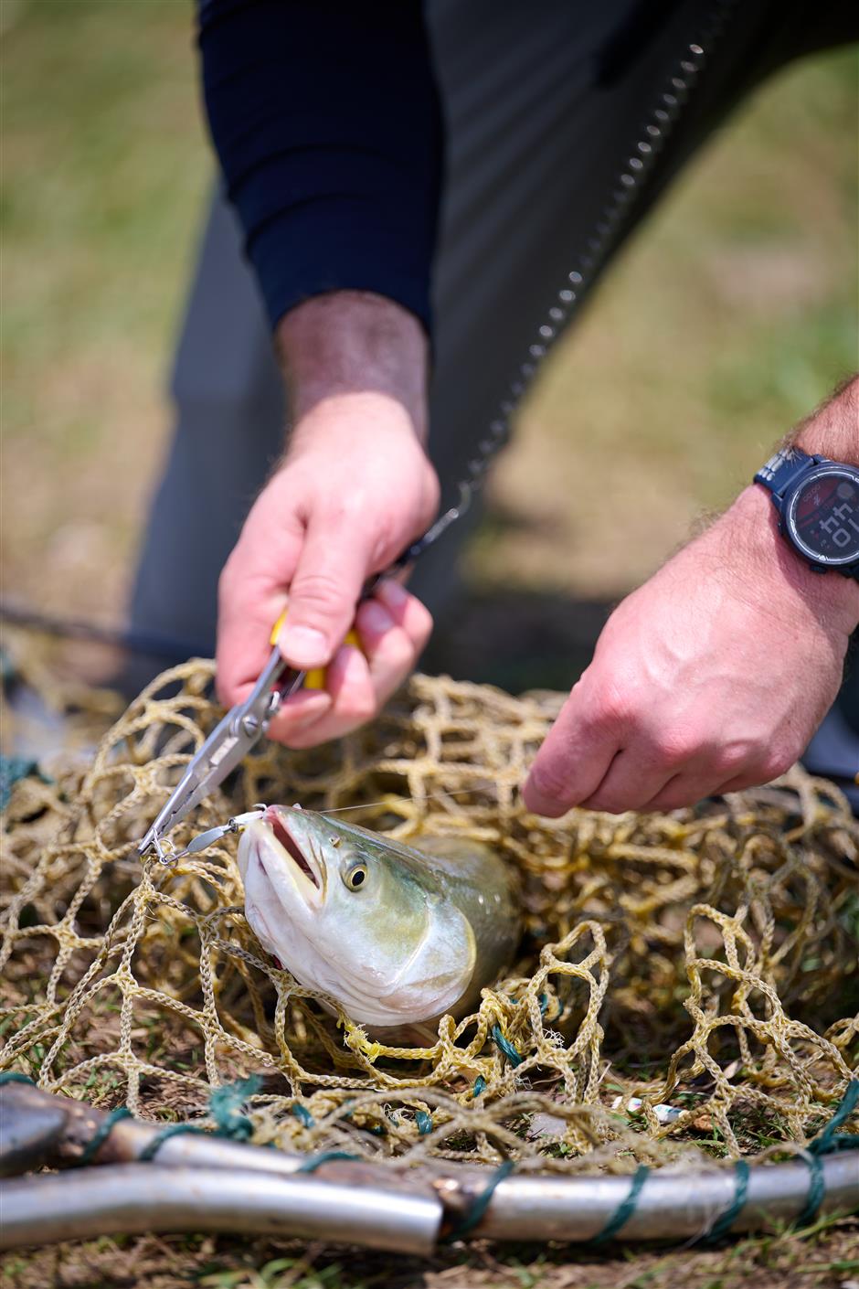 [Hai Guide] Yes, You Can Go Fishing in SH & Actually Catch Fish