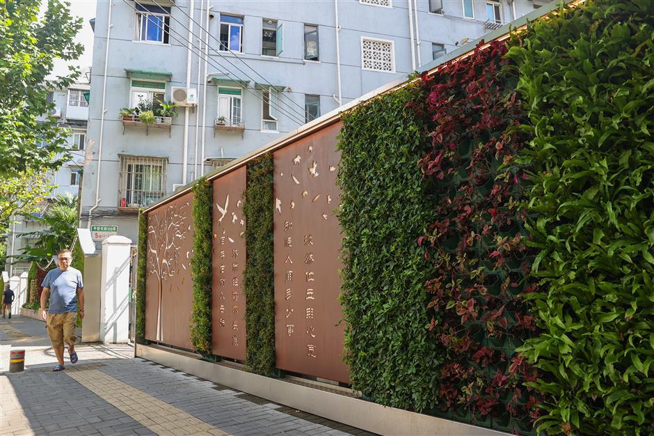 Green amid the grey concrete: Urbanites till environmental awareness leaf by leaf