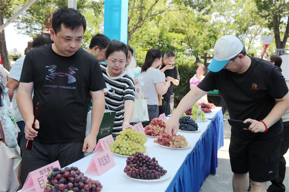 Almost 70 'Shanghai Summer'activities to be held in Jiading