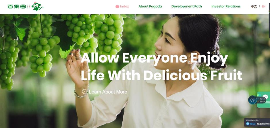 Pagoda sells a lemon in trying to 'educate' consumers on the value of pricier fruit