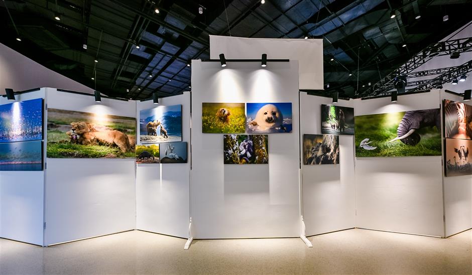 In the artistic eco-friendly orbit at West Bund