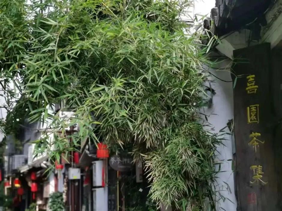 觀頂尖賽事,宿江南民宿！這場國際範兒的旅行別錯過