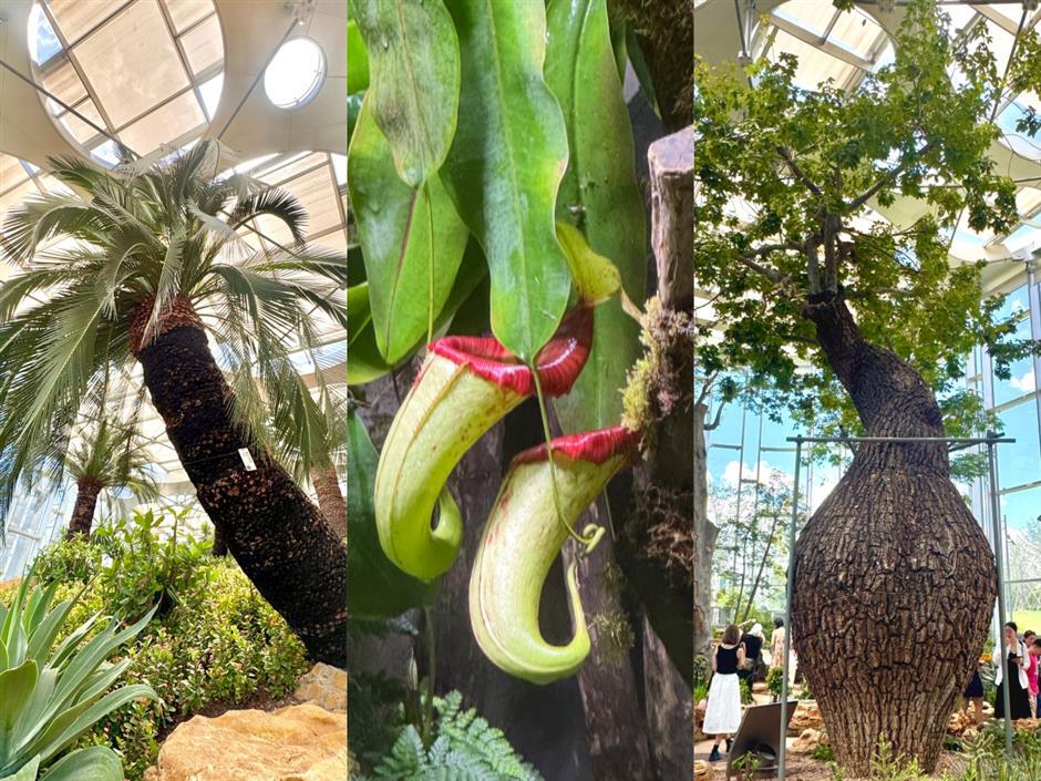 In Shanghai, green is more than just a color and the transition is well under way