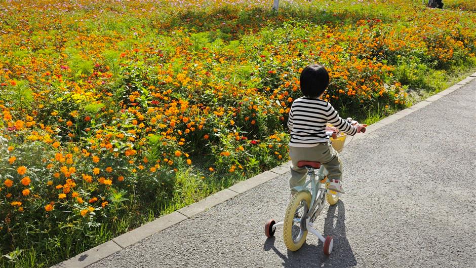 Tighten Your Tent, Mind Your Dog: New Park Rules to be Put in Place Next Month