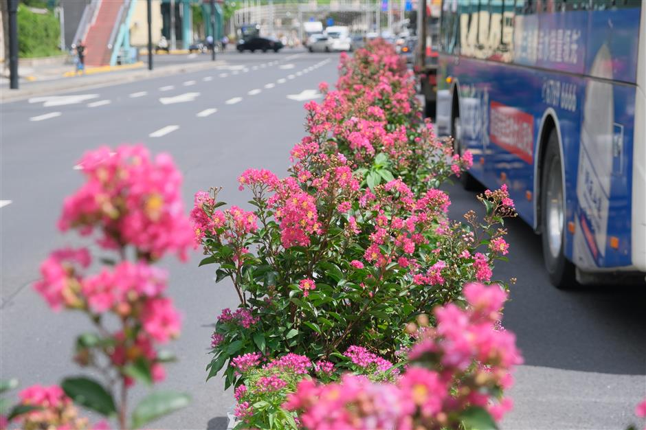 Jing'an buzzes with an array of activities