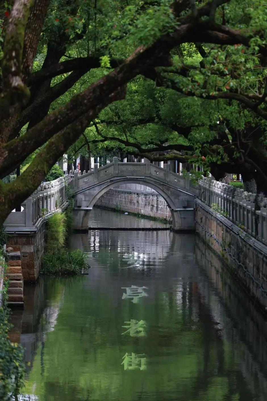 天太热?快来这里领取你的城市避暑