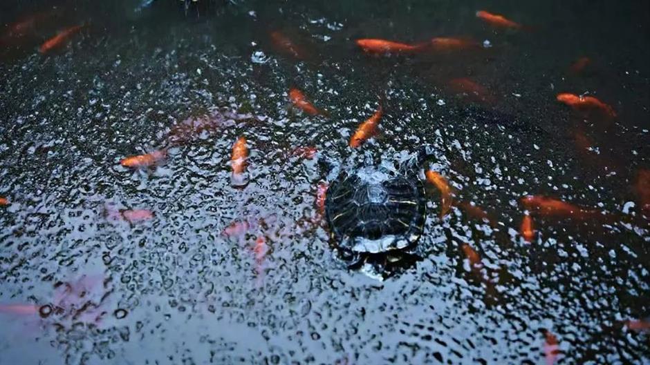 天太热?快来这里领取你的城市避暑