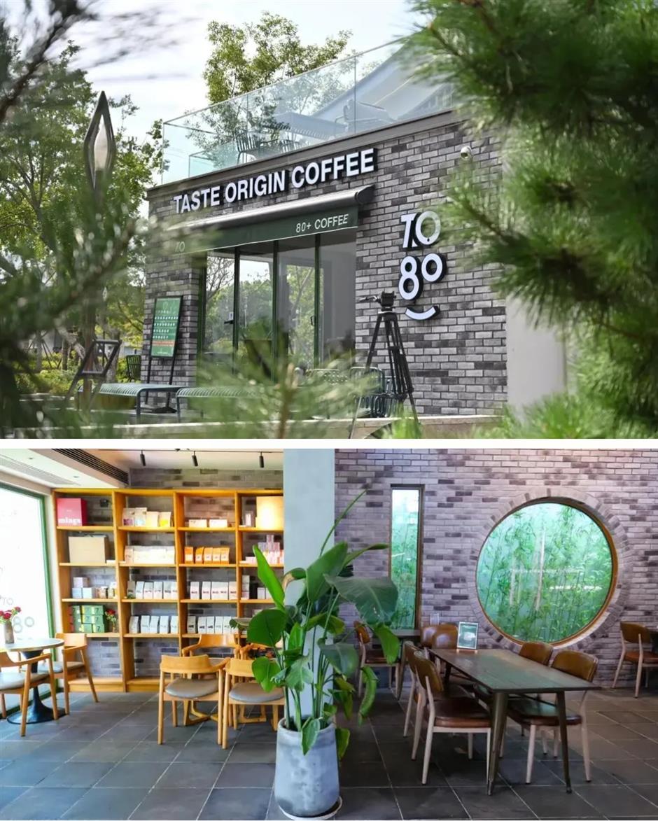 上海这条百年老街藏着最治愈的慢生活