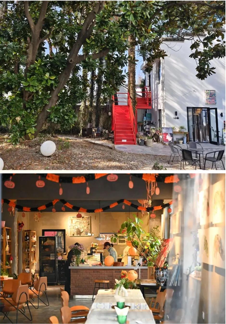 上海这条百年老街藏着最治愈的慢生活