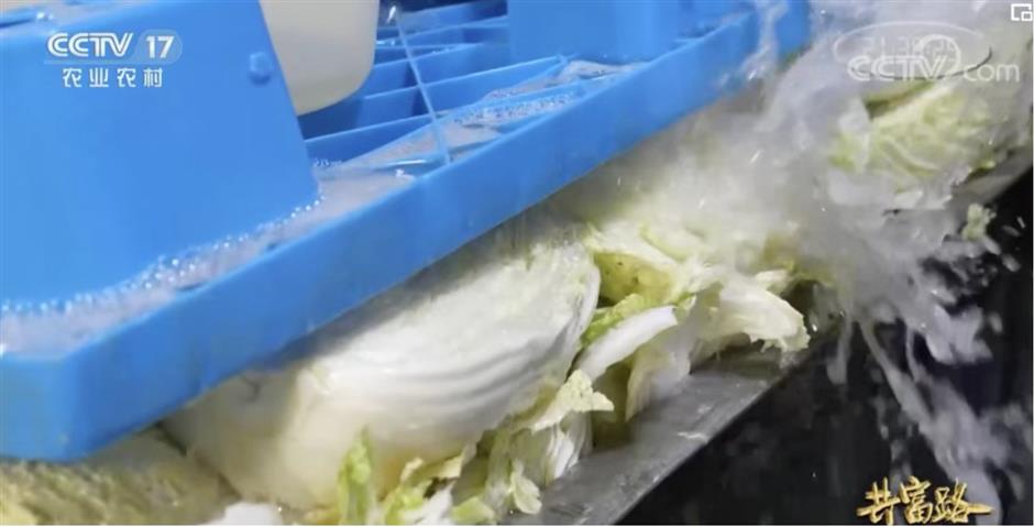 How a tiny town in Shandong becomes South Korea's kimchi lifeline